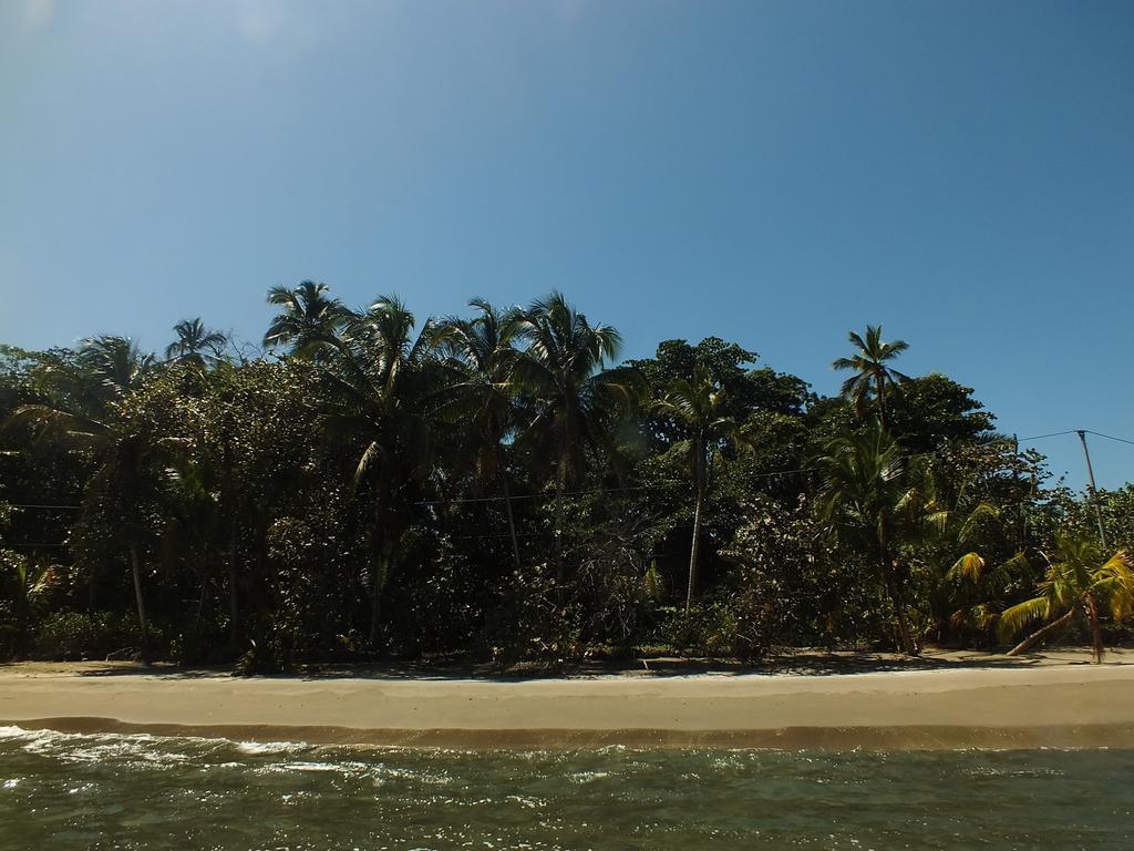 Cabinas Caribe Luna Cahuita Exterior foto